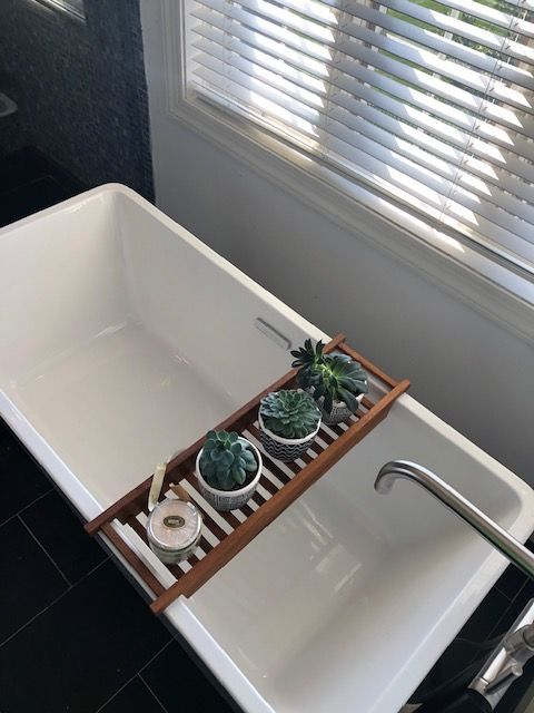 clean modern bath tub decorated with succulents