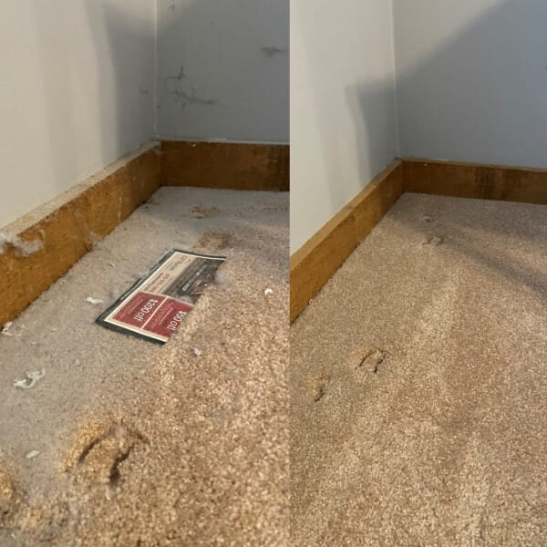 Post construction cleanup